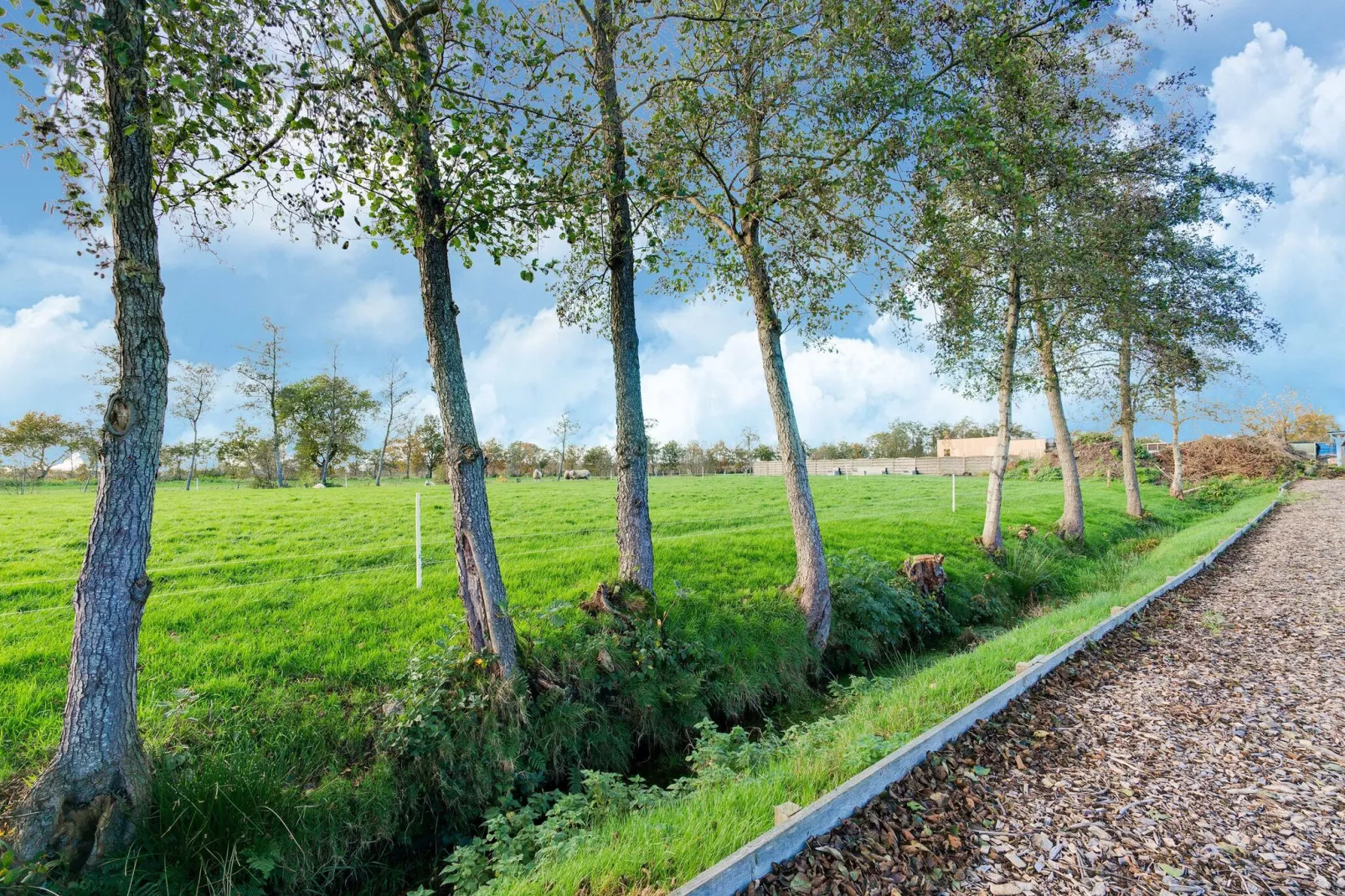 Heide State familie villa-Gebieden zomer 1km