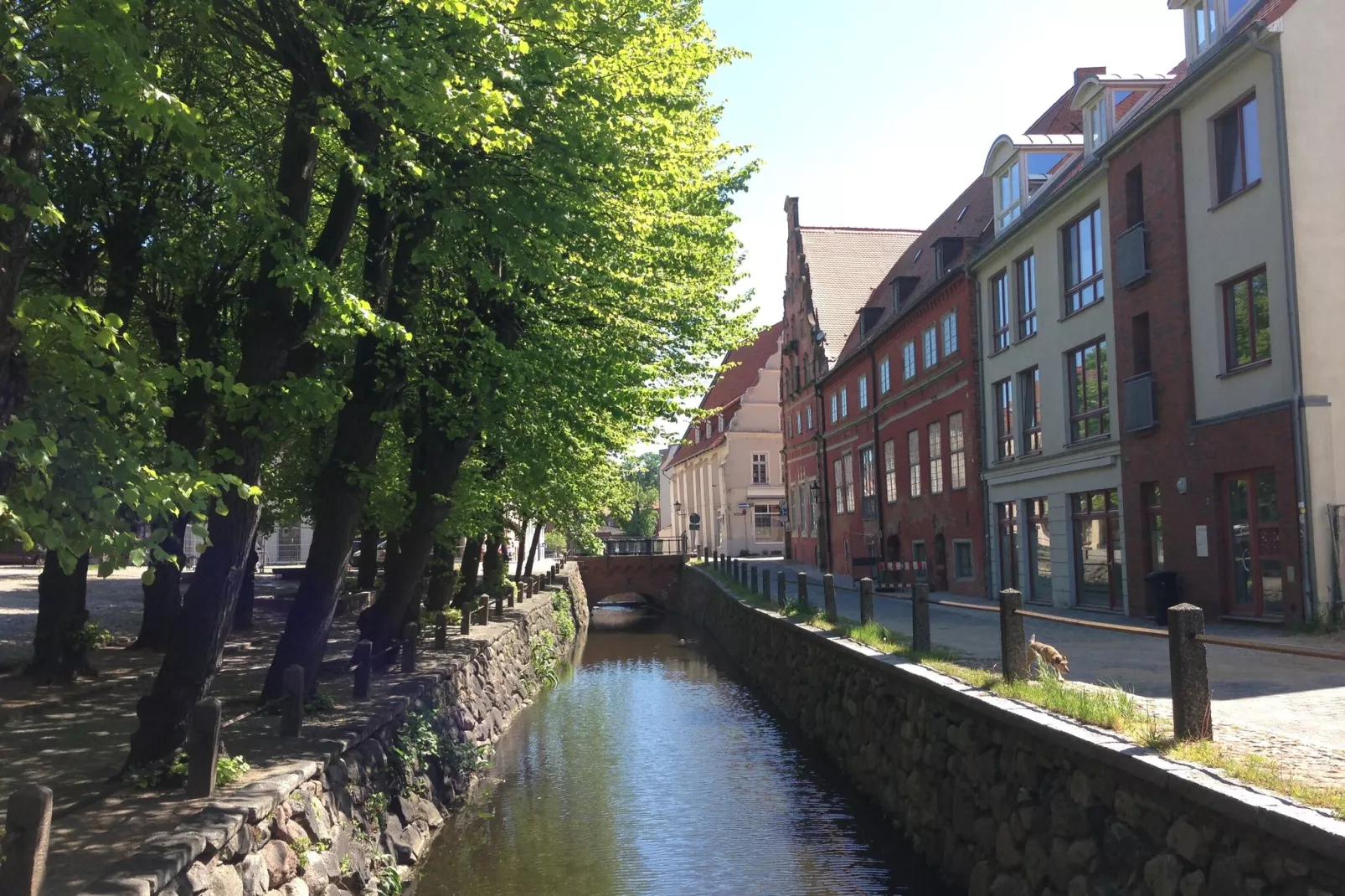 Backbord Hansestadt Wismar mit Terrasse-Gebieden zomer 1km