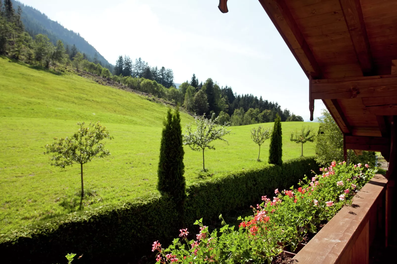 Schönes Appartement in Skigebietsnähe in Kirchberg-Terrasbalkon