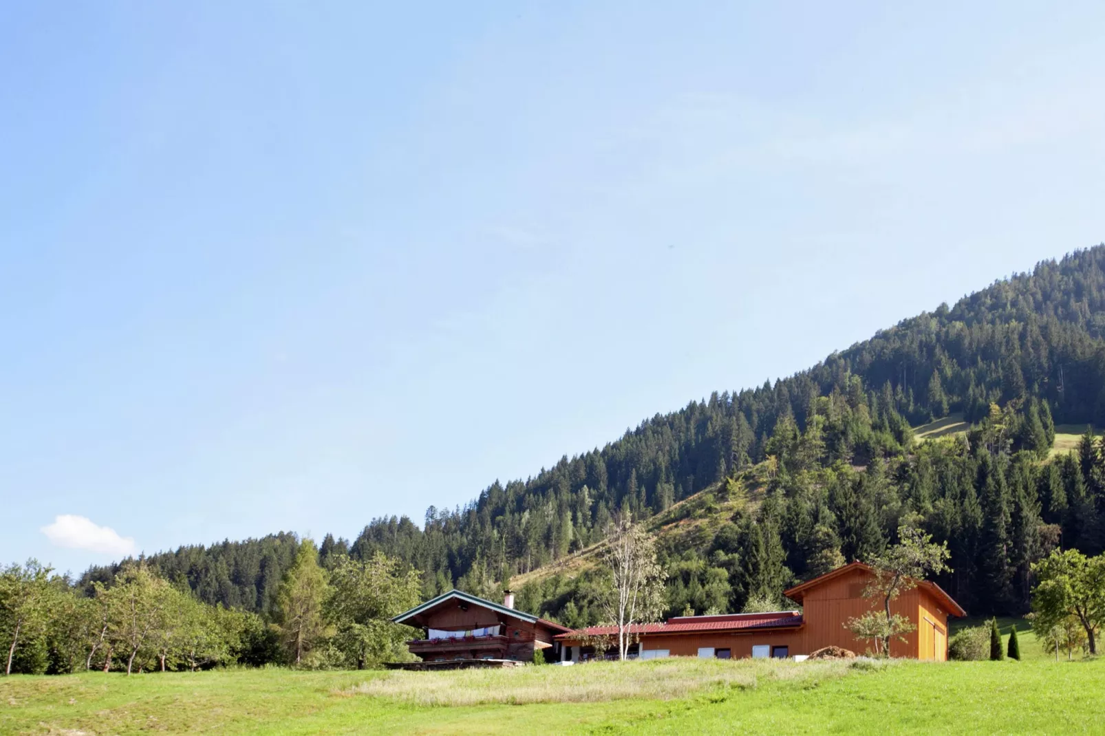 Schönes Appartement in Skigebietsnähe in Kirchberg-Gebieden zomer 1km