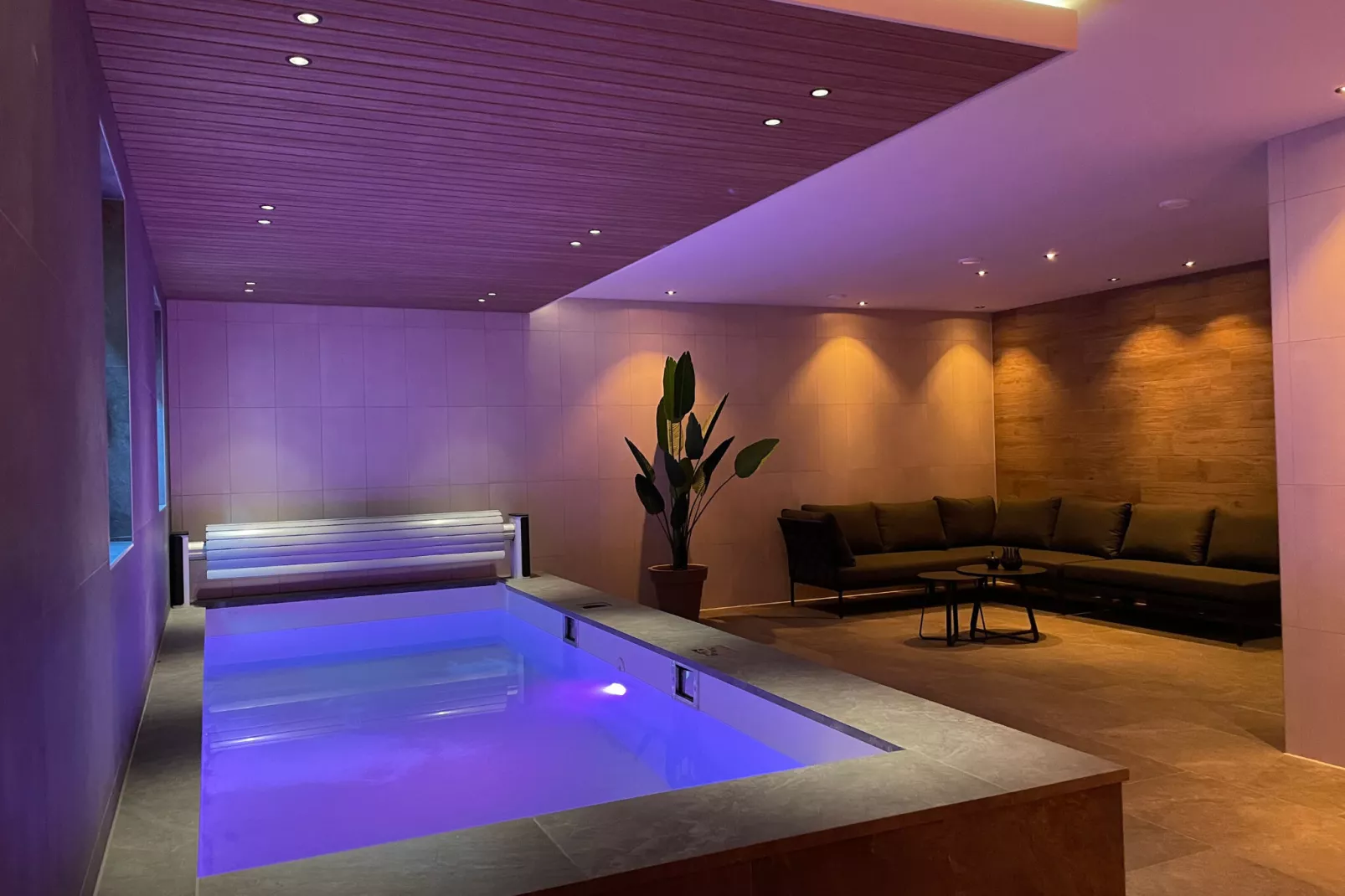 Veluwe Villa Wellness-Zwembad