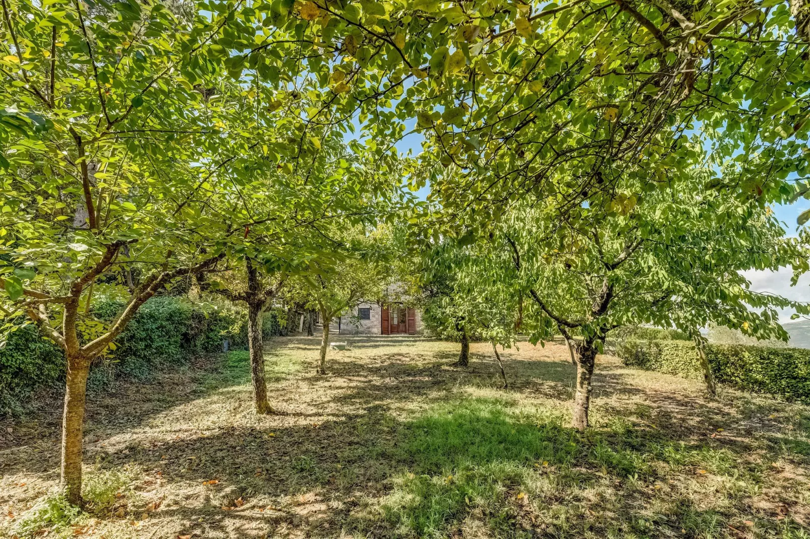 Podere Bellavista-Tuinen zomer