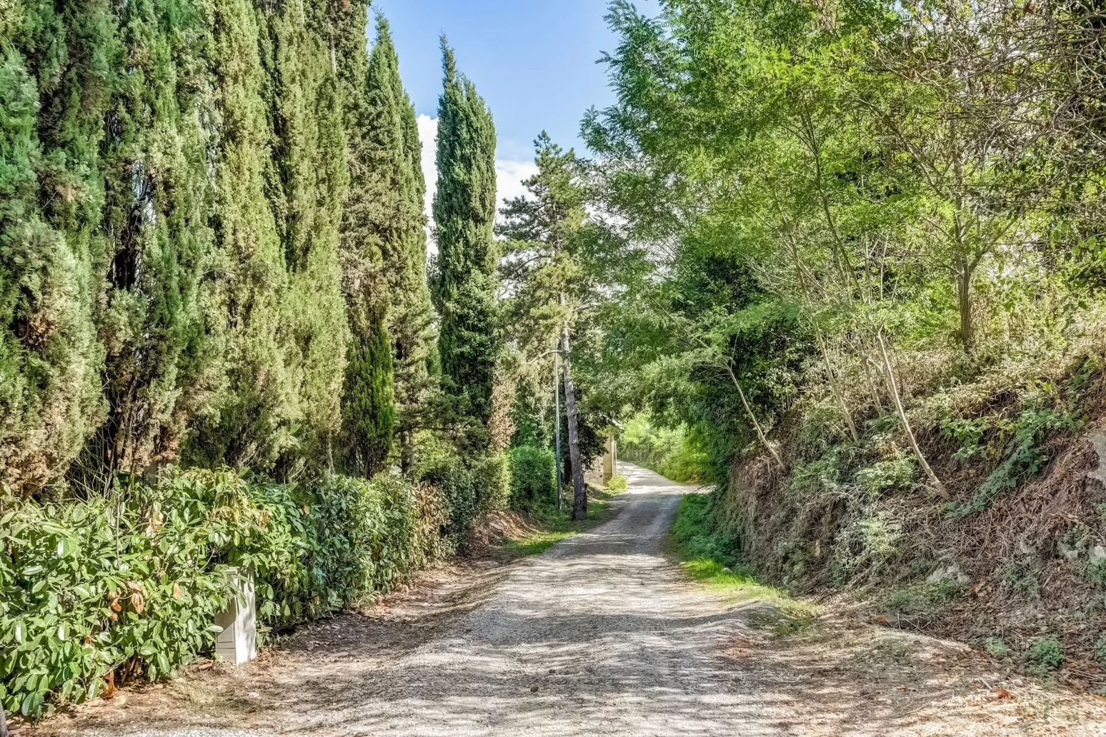 Podere Bellavista-Gebieden zomer 1km