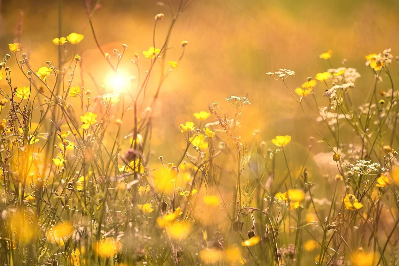 Prachtig vakantiehuis in de natuur-By Traum-Binnen