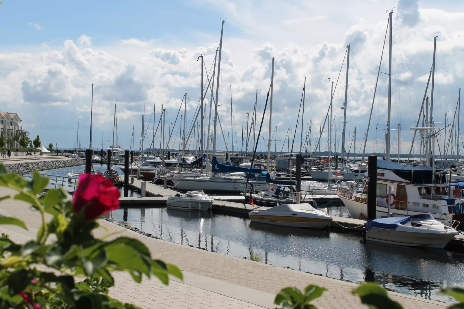 Im Lindenring-Gebieden zomer 20km