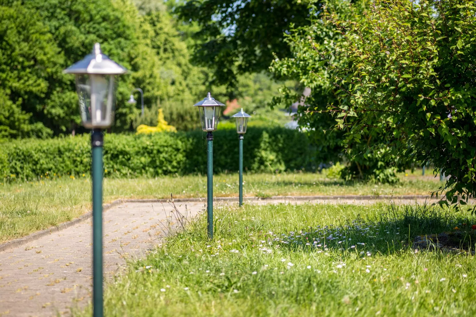 Im schönen Klützer Winkel-Tuinen zomer