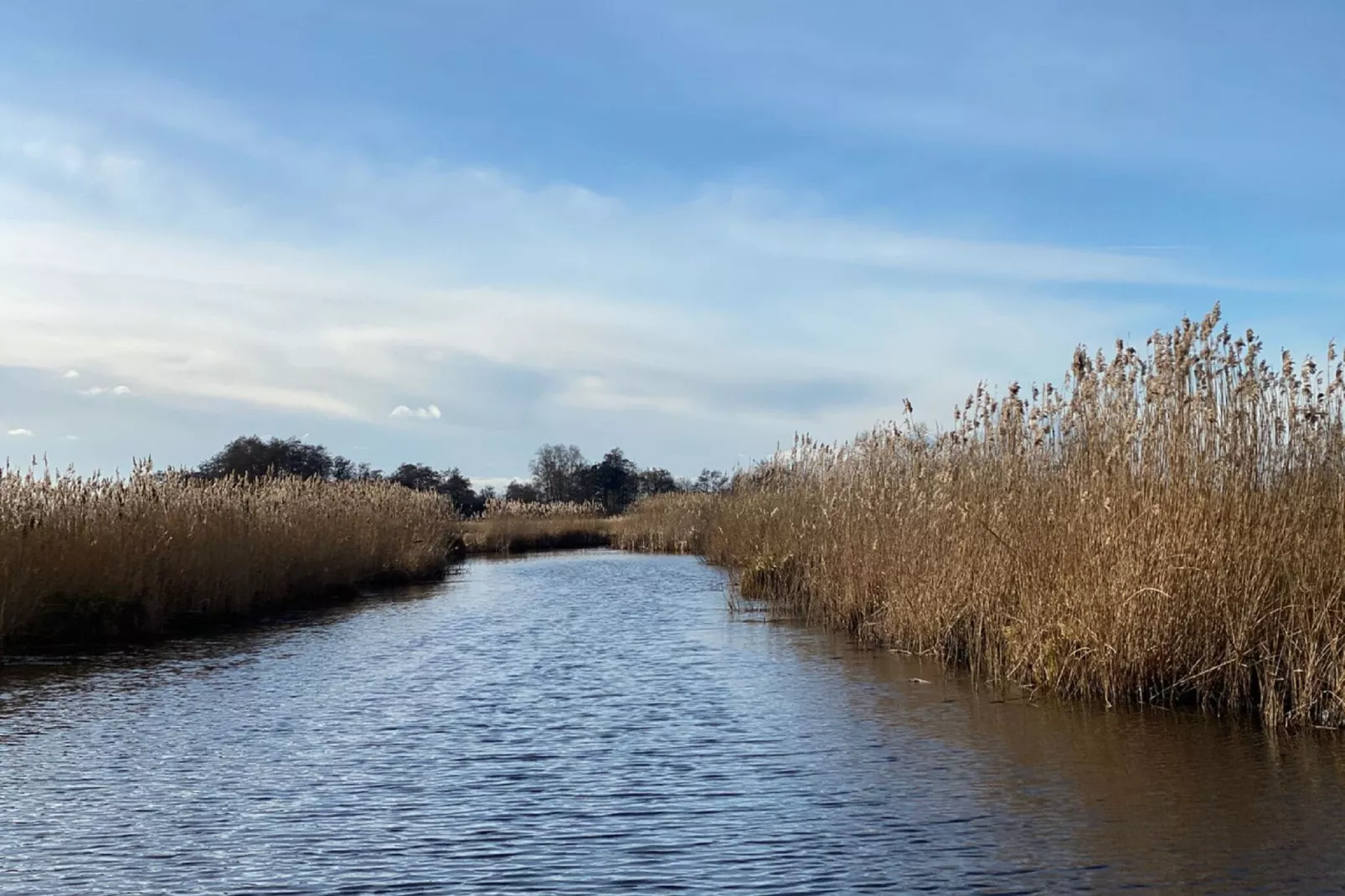 Chaletpark Kroondomein Giethoorn 3-Gebieden zomer 5km