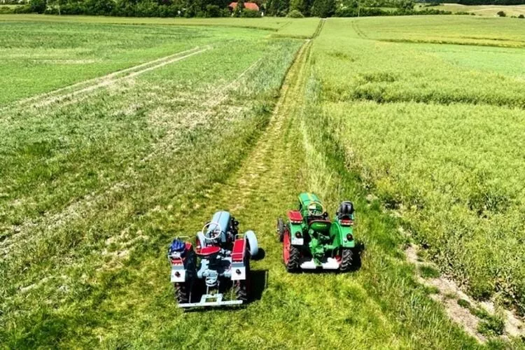 Fewo Gielow 2mP-Gebieden zomer 5km