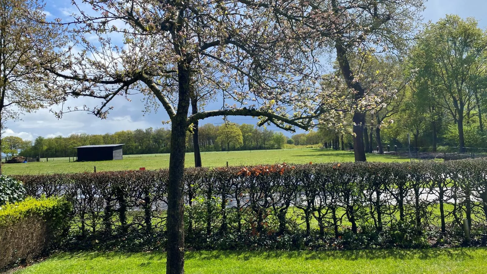 Reggezicht-Uitzicht zomer