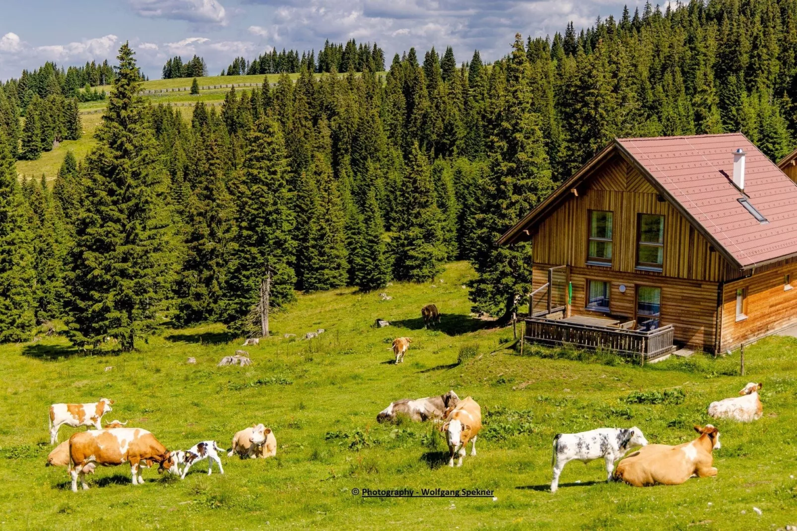 Almdorf Weinebene XL-Buitenkant zomer