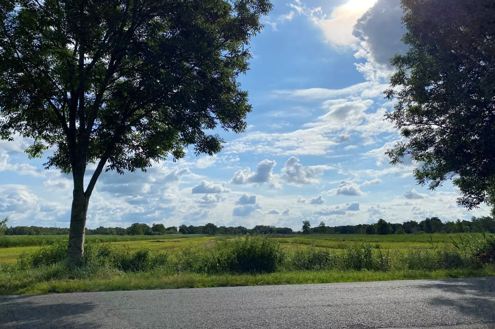 Aan de dwarsgracht-Uitzicht zomer