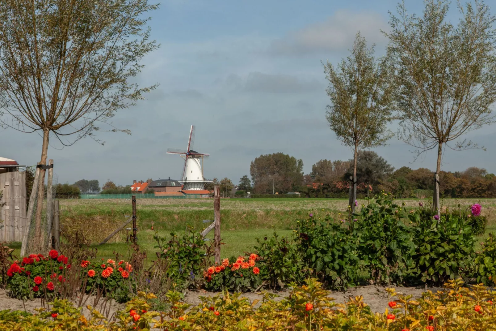 Studio - Vlissingsestraat 3-1  Koudekerke-Gebieden zomer 1km