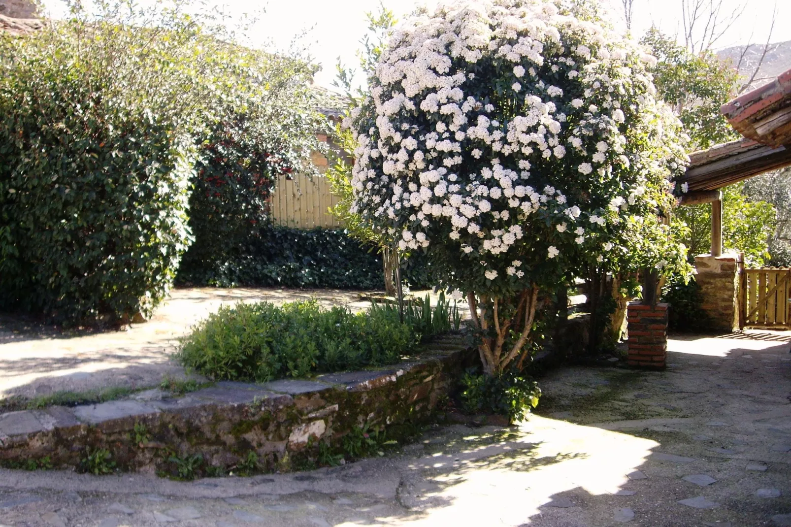 Casa El Tinao-Tuinen zomer