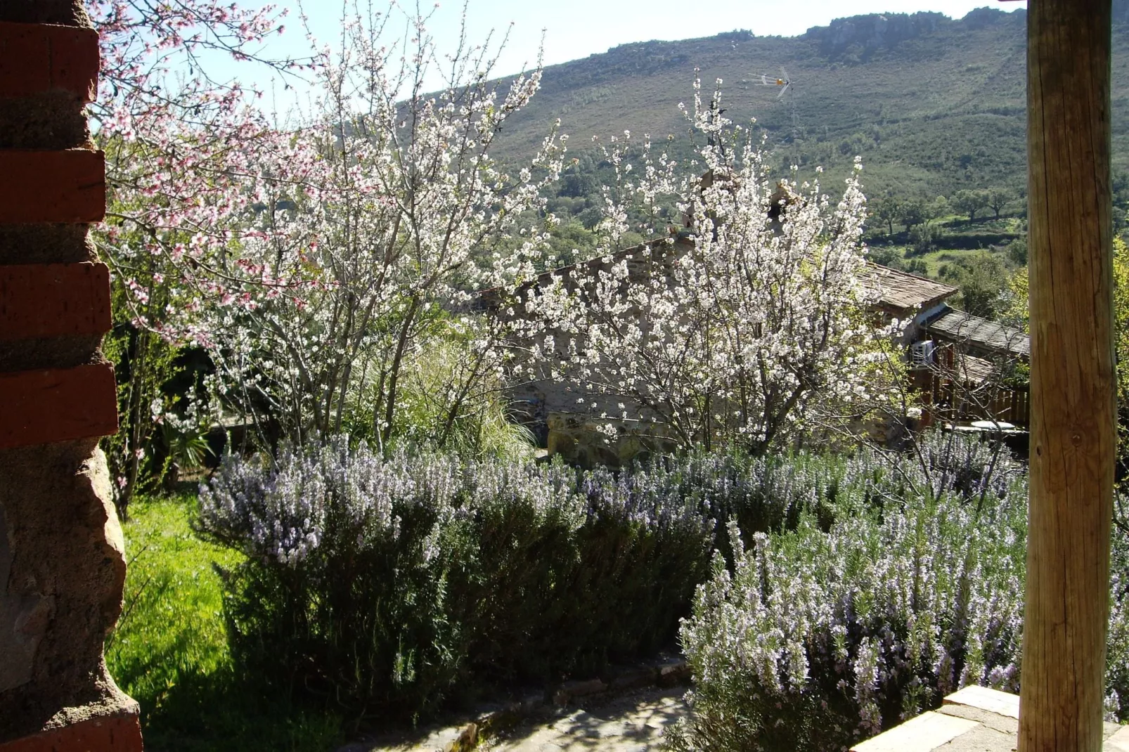 Casa El Tinao-Tuinen zomer