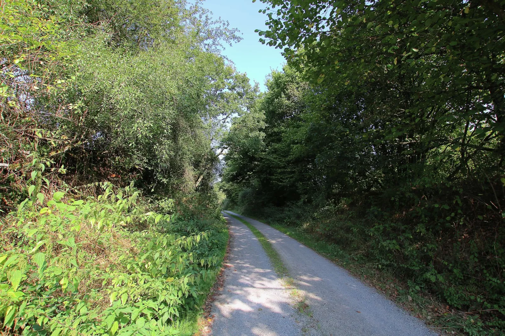 La Gentilhommière-Gebieden zomer 5km