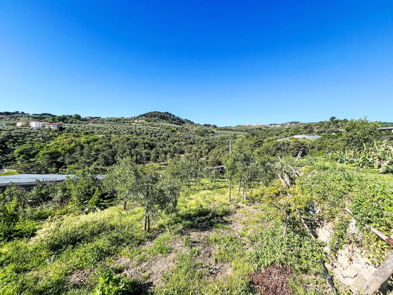 Casa Lulú-Buiten