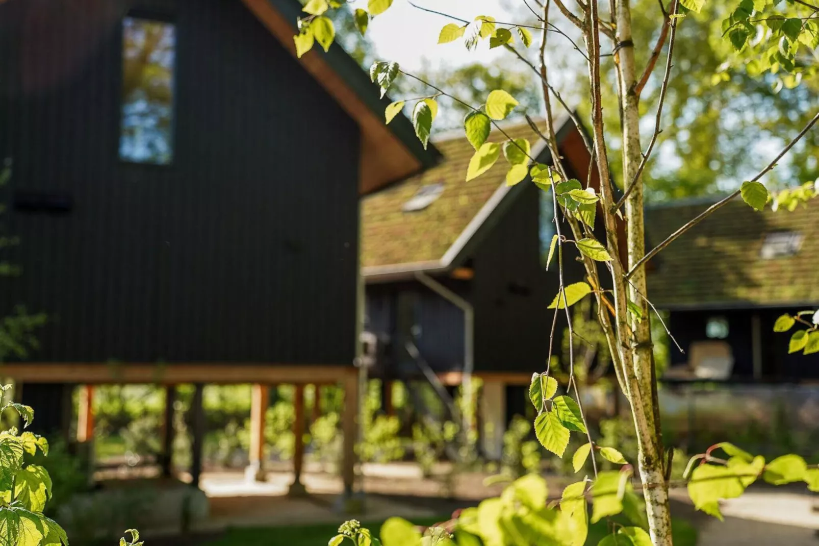 Natuur Villa  5 personen-Sfeer