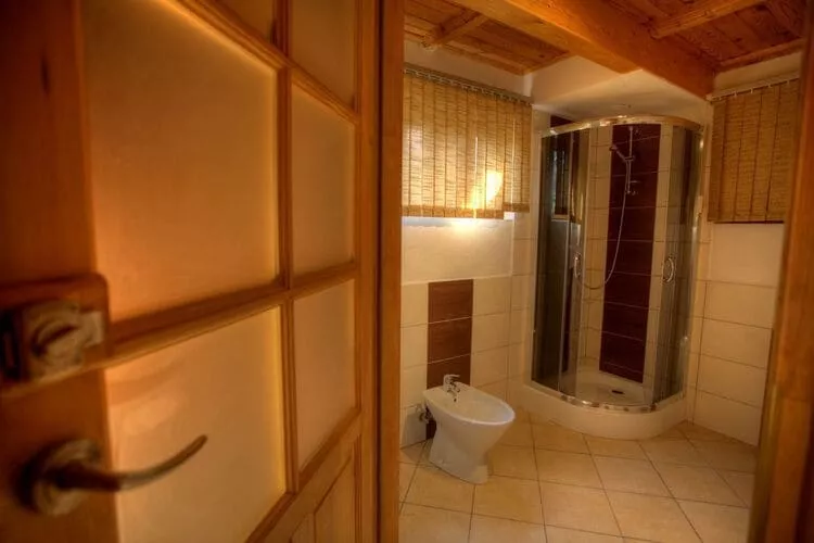 Holiday home in Wilkasy-Badkamer