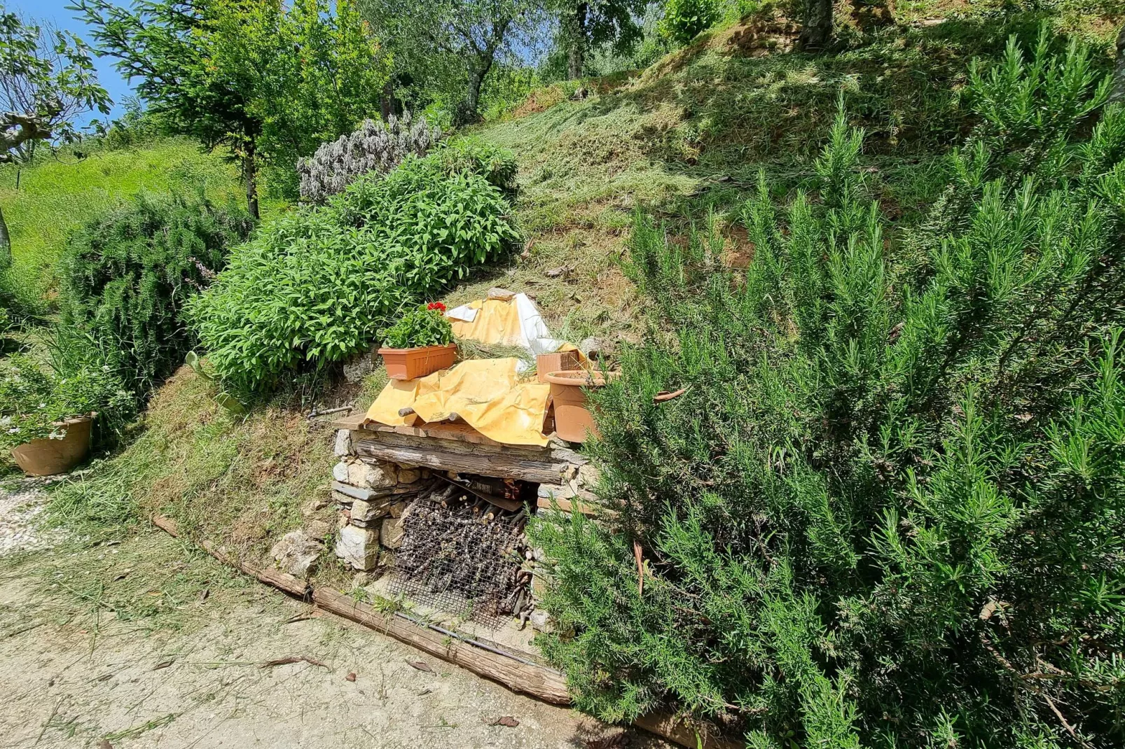 Nido D'Amore Orbicciano - Faciliteiten