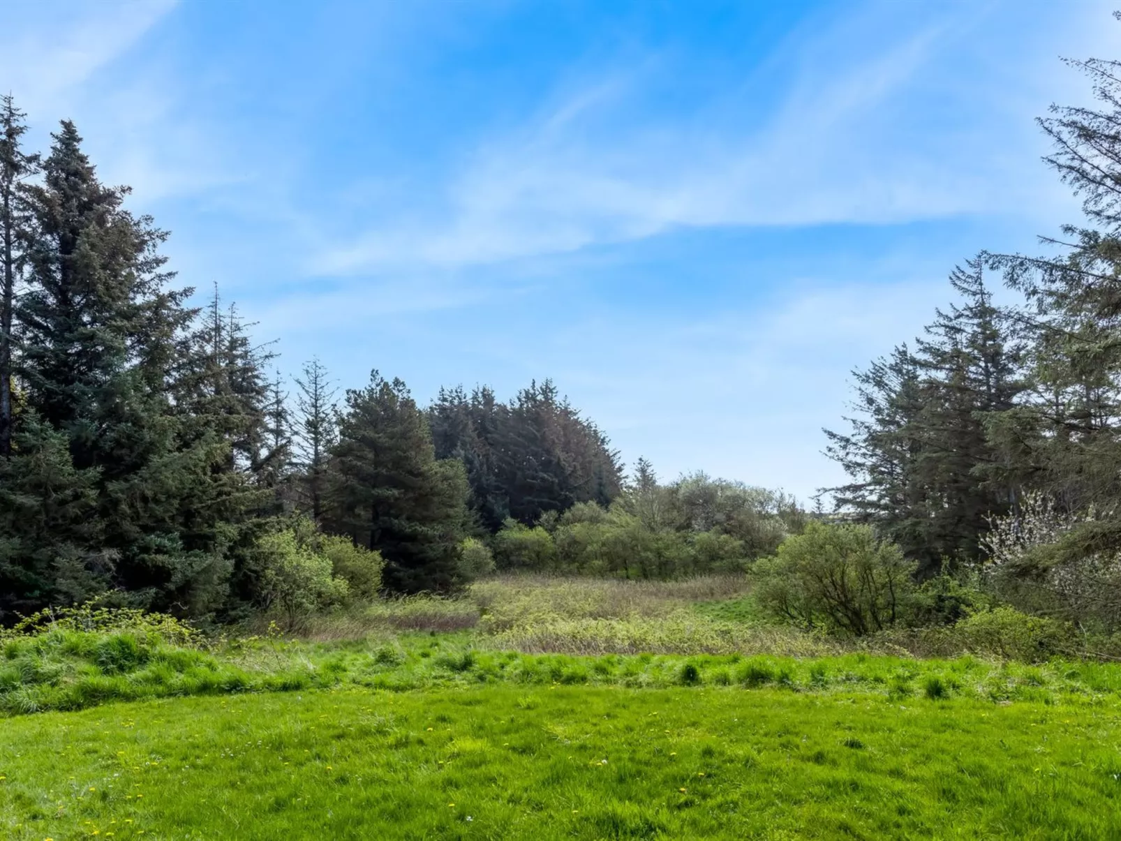 "Fränze" - 980m from the sea-Buiten