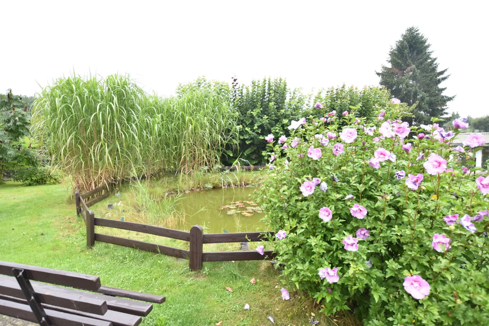 Gartenteich-Tuinen zomer