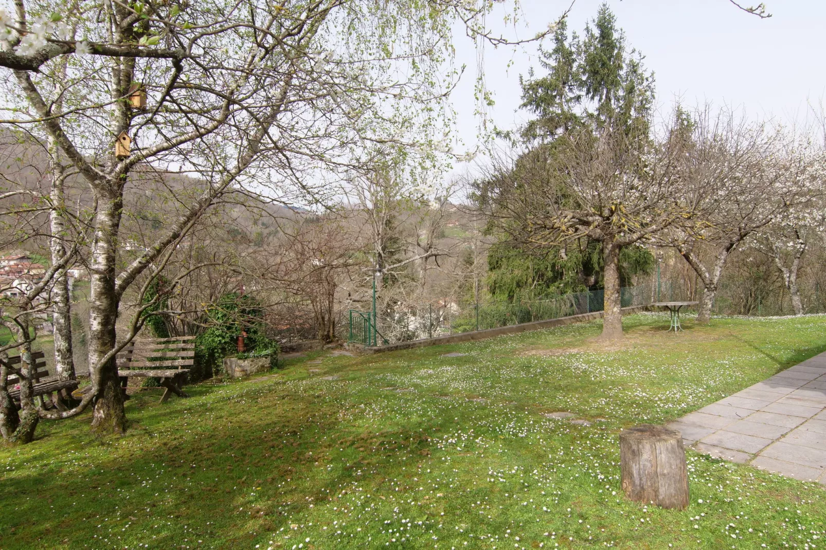 Il Cerro-Niet-getagd