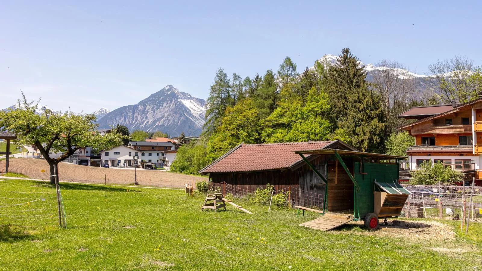 Bauernhof Seppen-Uitzicht zomer