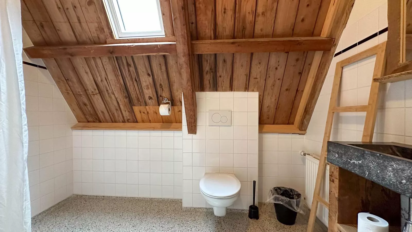 Combi grote en kleine weeshuis-Badkamer