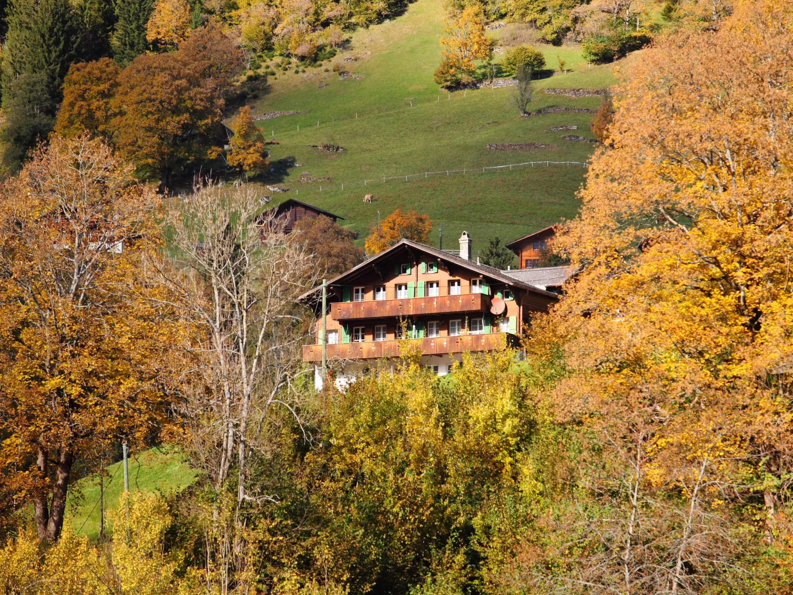 Chalet Auf dem Vogelstein-Buiten