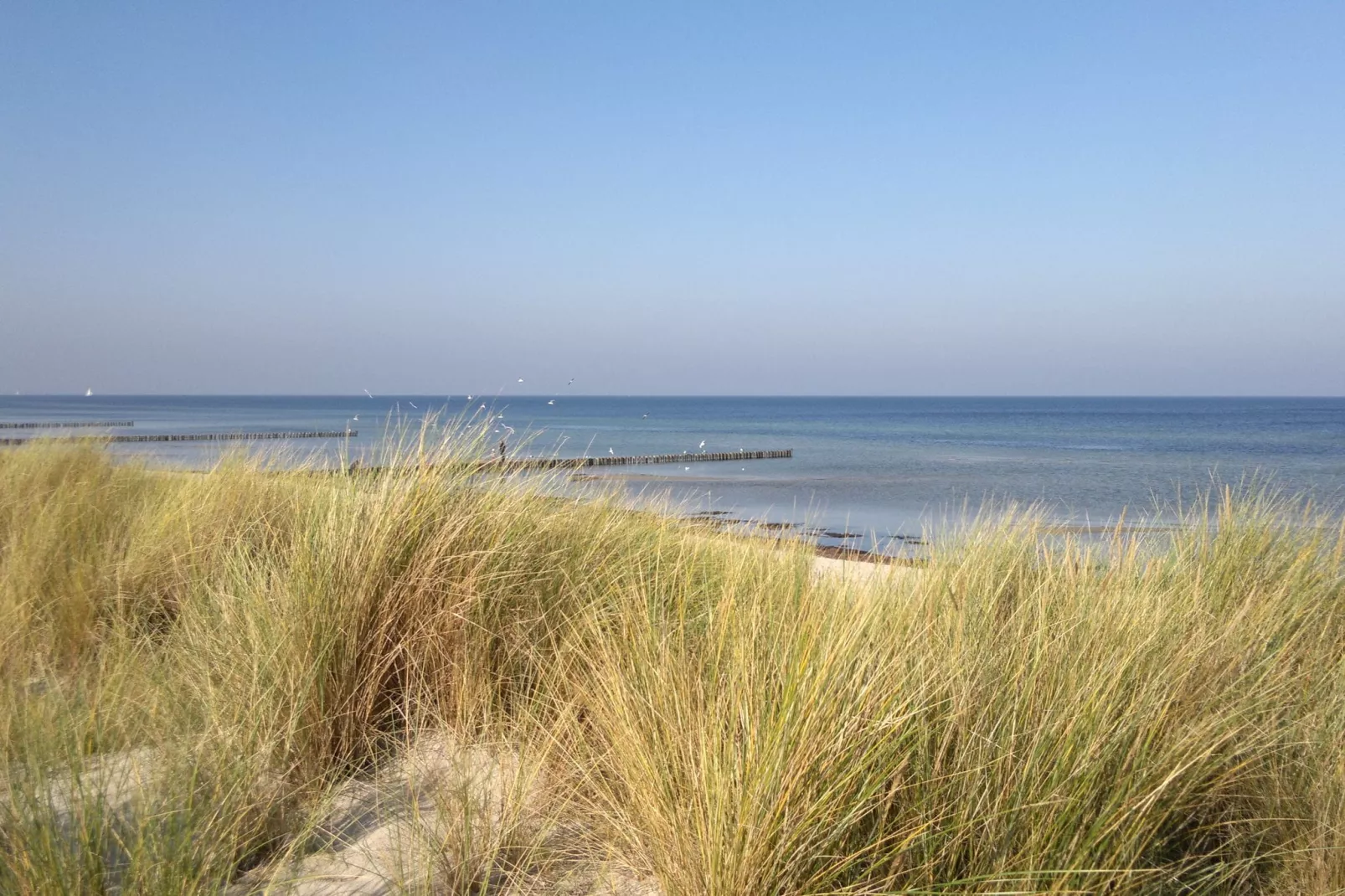 Strandnahes Ferienhaus Walter mit Meerblick-Gebieden zomer 20km