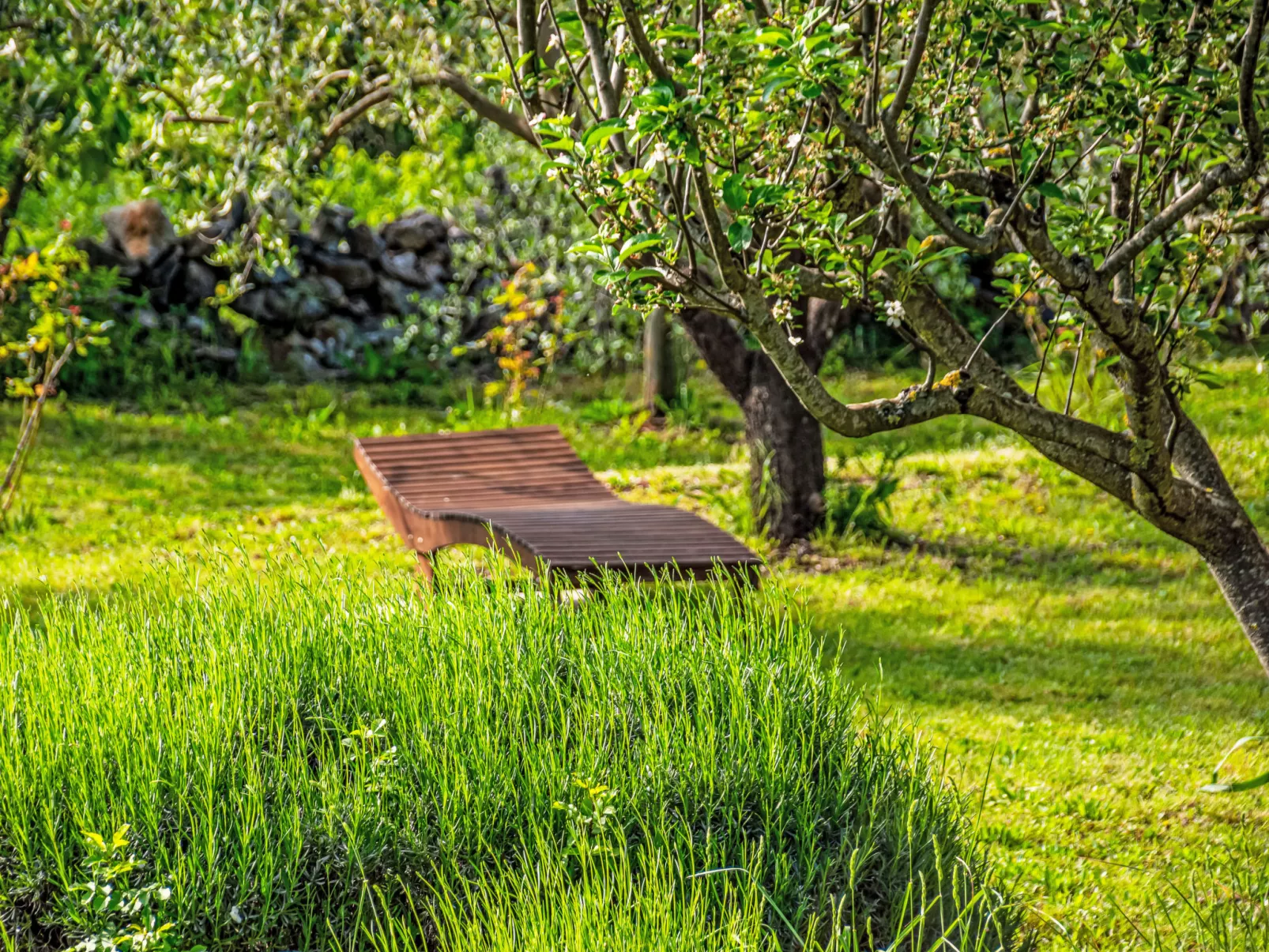 Little Tuscany for Two-Buiten