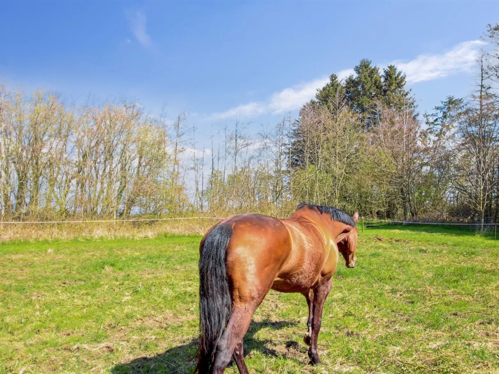 "Thana" - 8km from the sea-Buiten