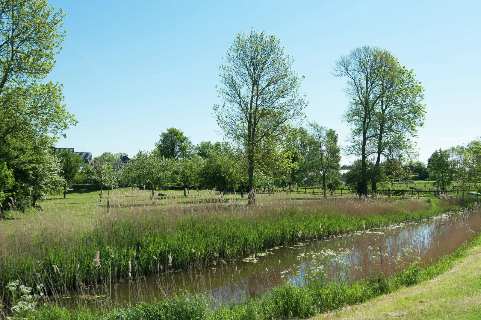 De Waske-Gebieden zomer 1km