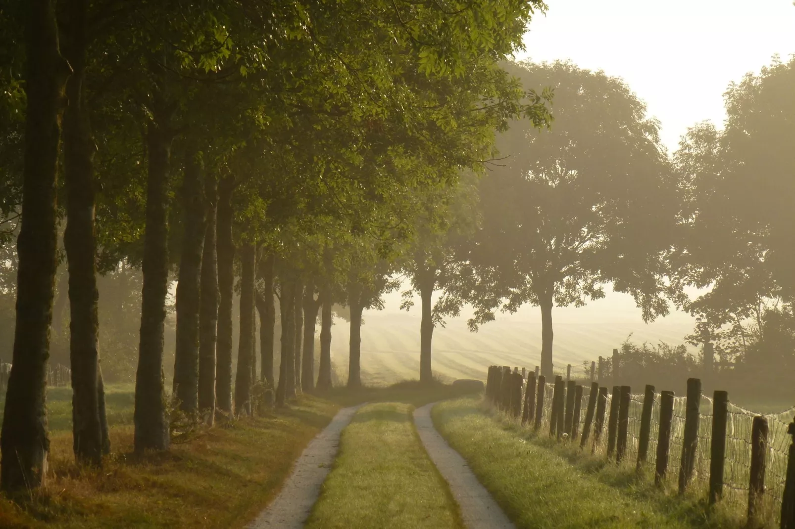 De Waske-Gebieden zomer 5km