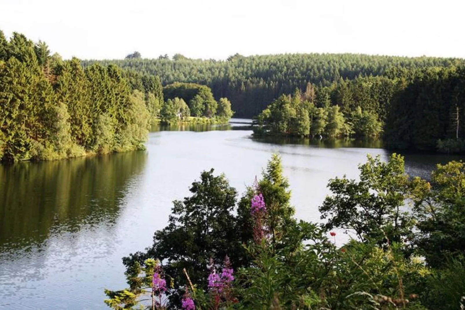 La Clé des Fagnes-Gebieden zomer 5km