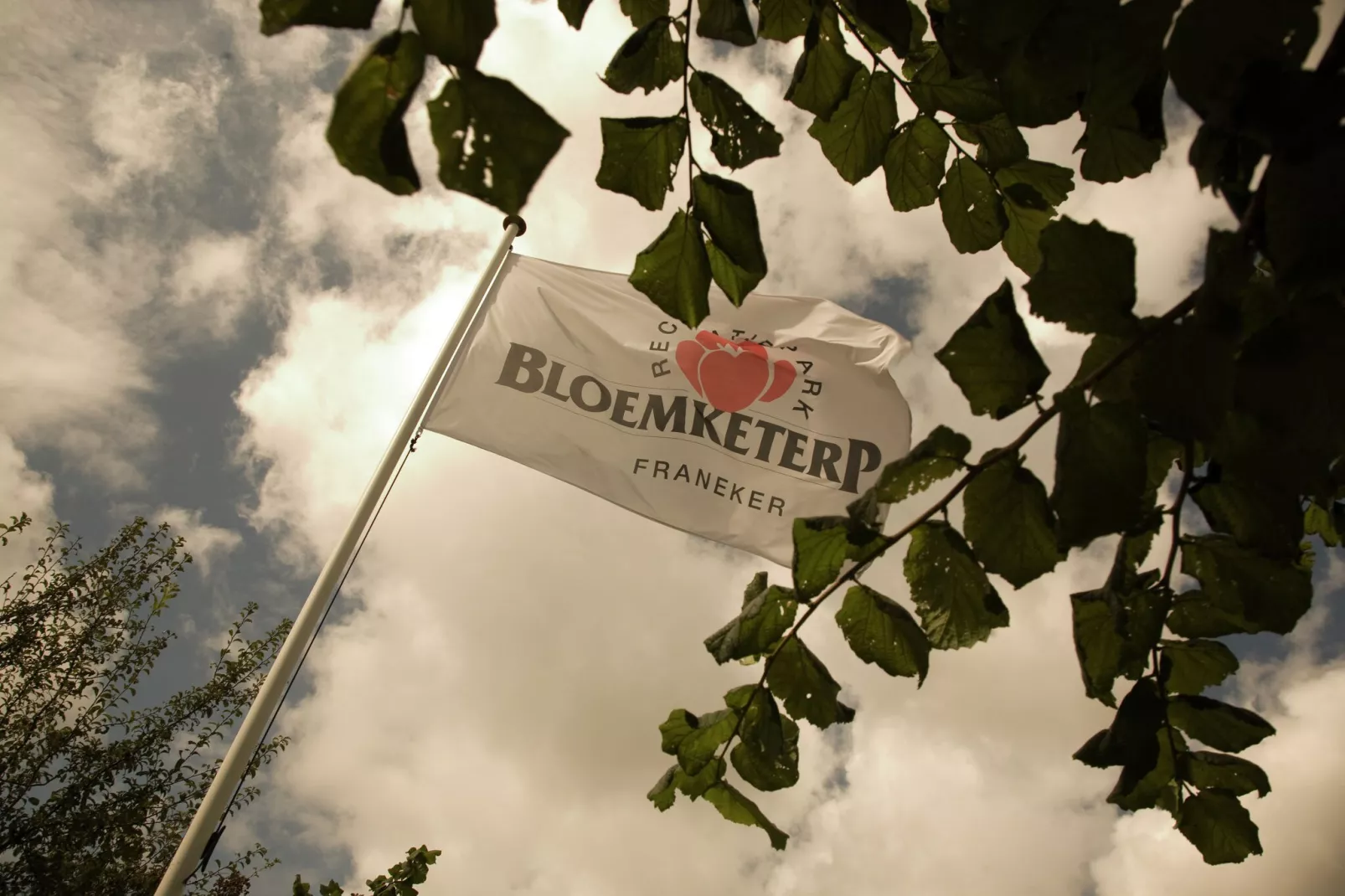 Recreatiepark Bloemketerp 4-Parkfaciliteiten