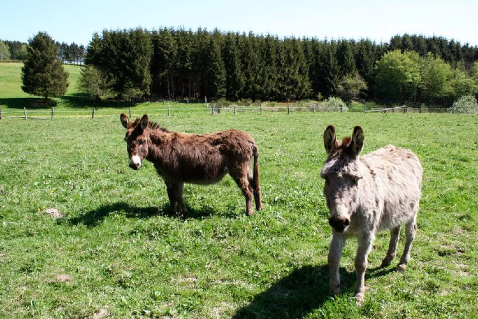 Le Chalet des Robinsons-Gebieden zomer 5km