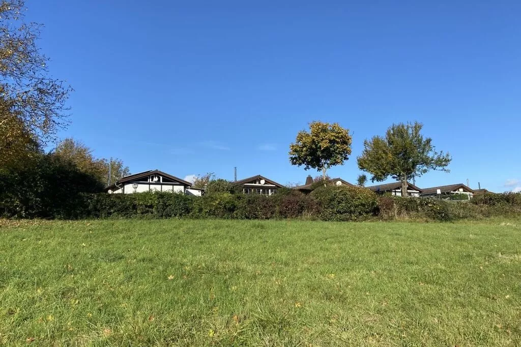 382476-Gebieden zomer 5km