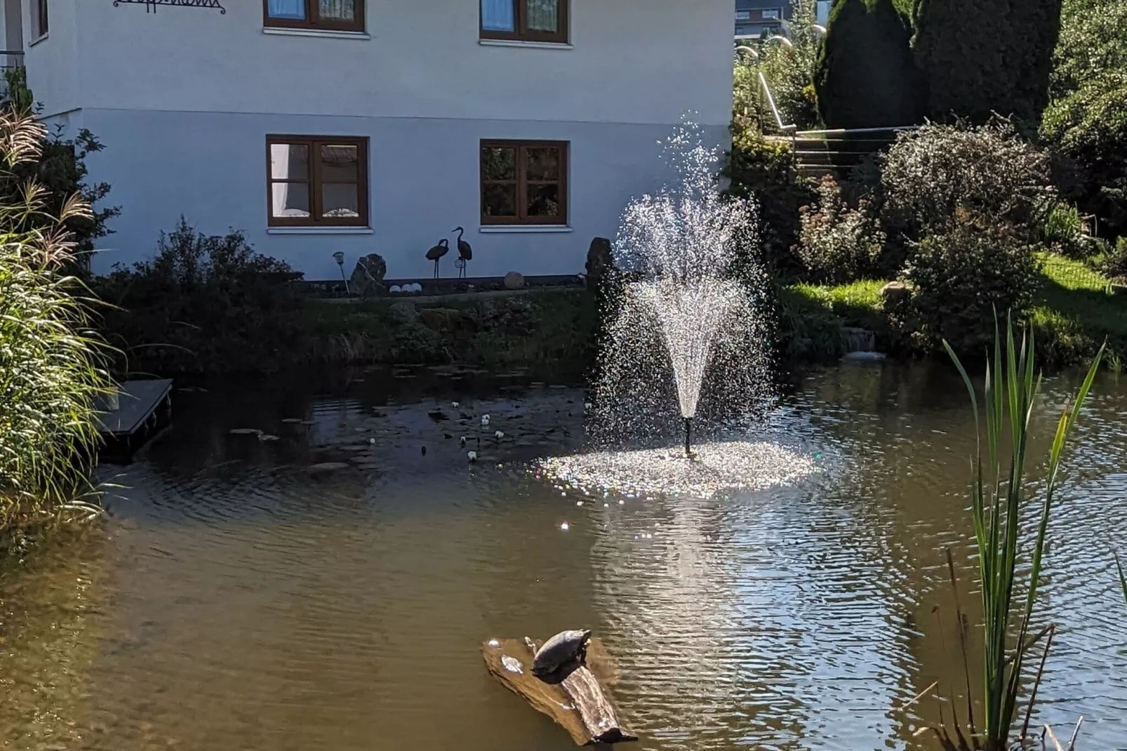 Am Teich-Tuinen zomer