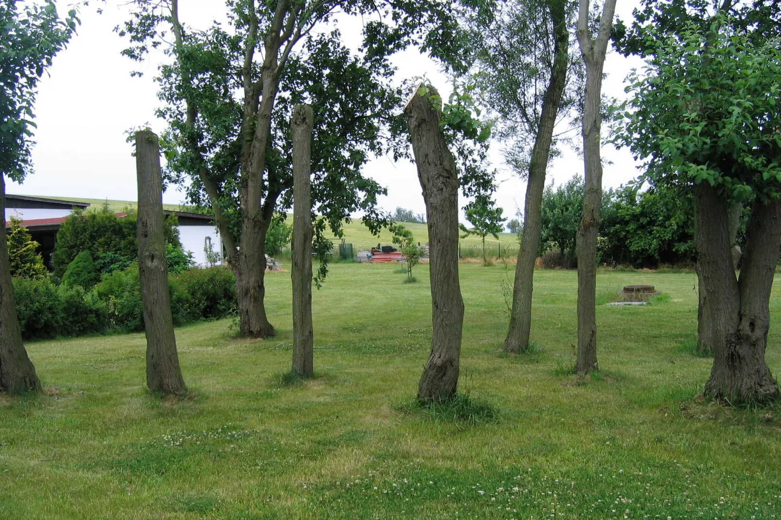 XL Meerblick und Leuchtturm-Tuinen zomer