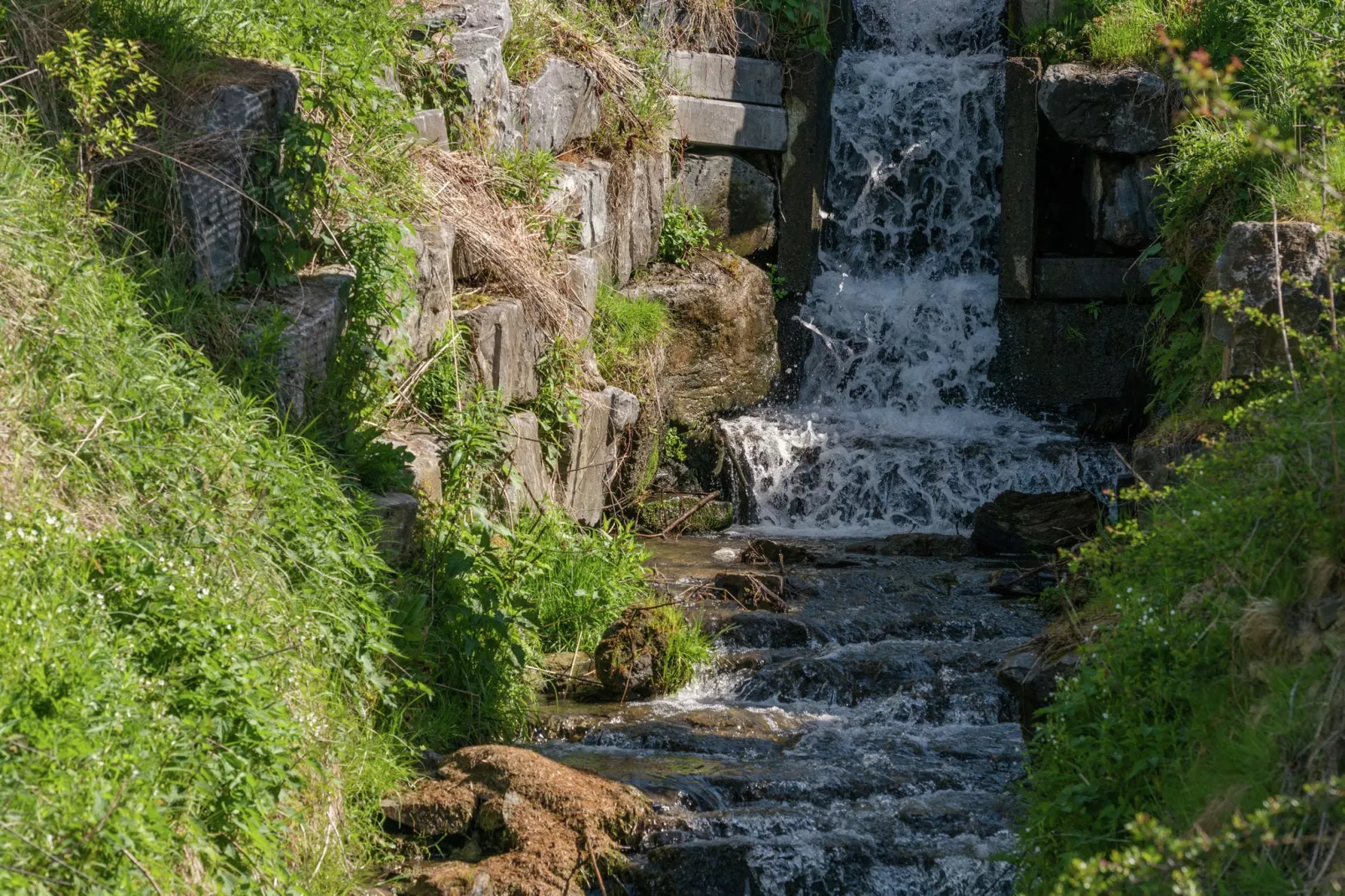 Au Moulin du Fî-Sfeer