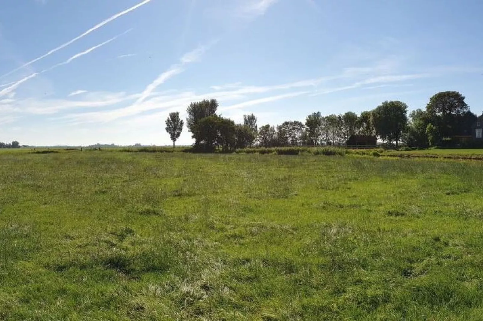 Pronkkeamer Skrins-Gebieden zomer 1km