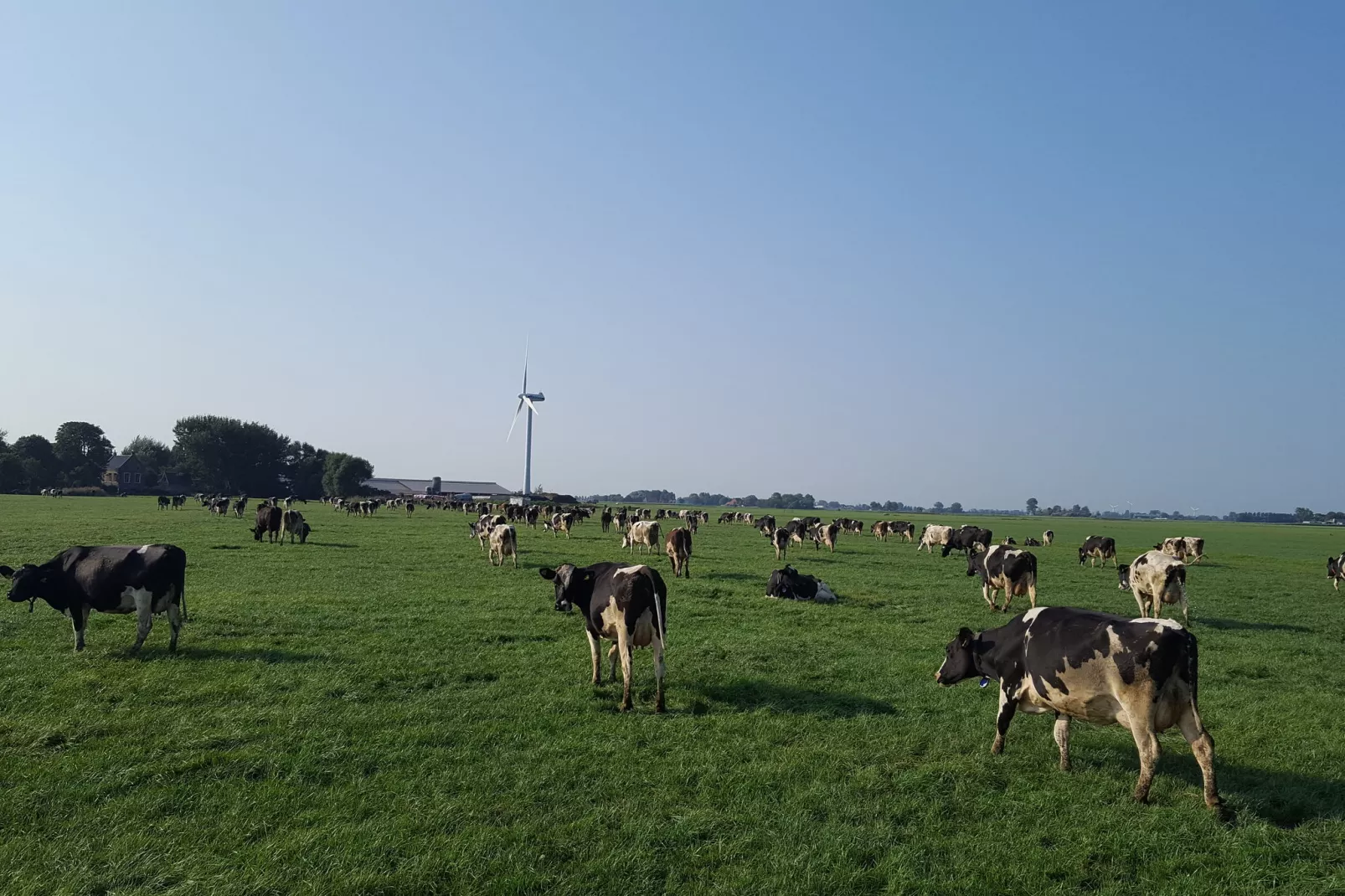 Pronkkeamer Skrins-Uitzicht zomer