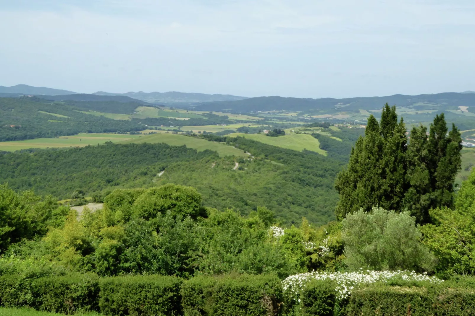 Cardellino-Uitzicht zomer