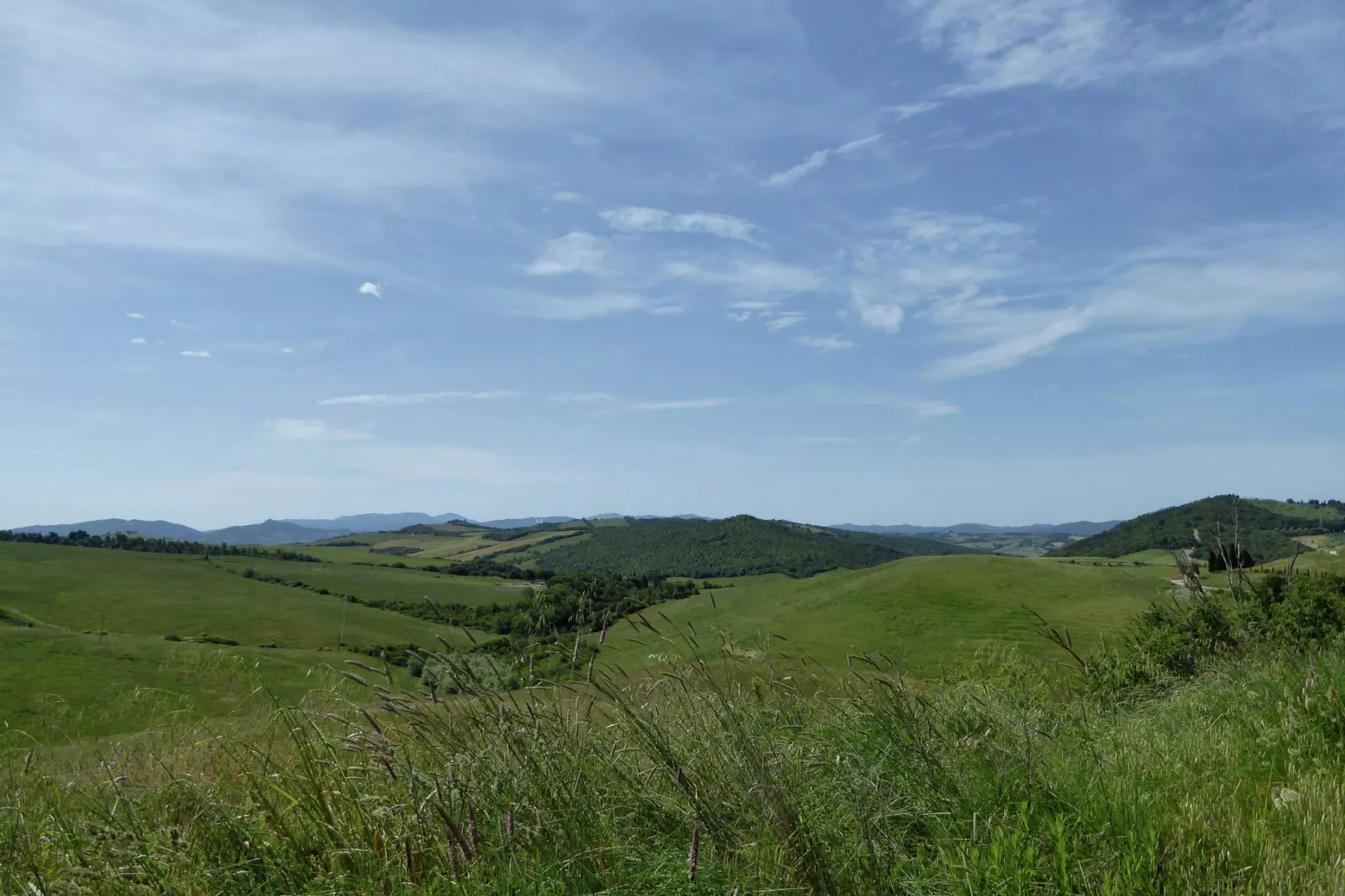 Cardellino-Gebieden zomer 5km