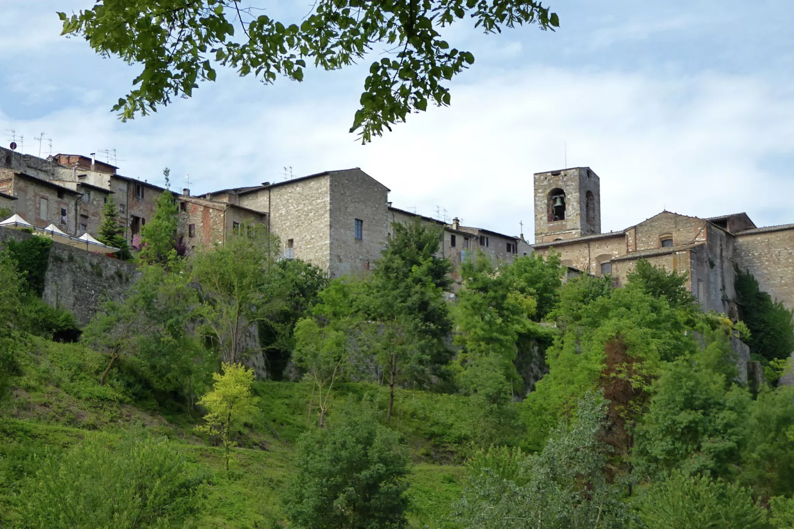 Cardellino-Gebieden zomer 20km