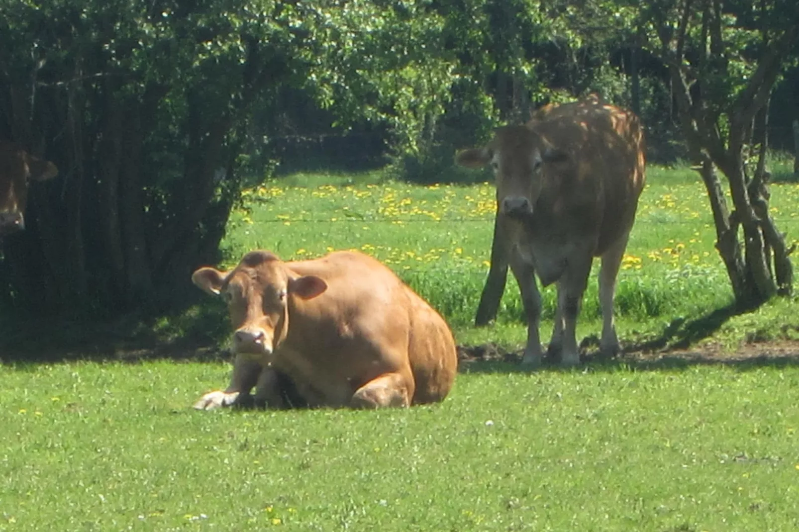 La Ferme Tirou-Gebieden zomer 5km