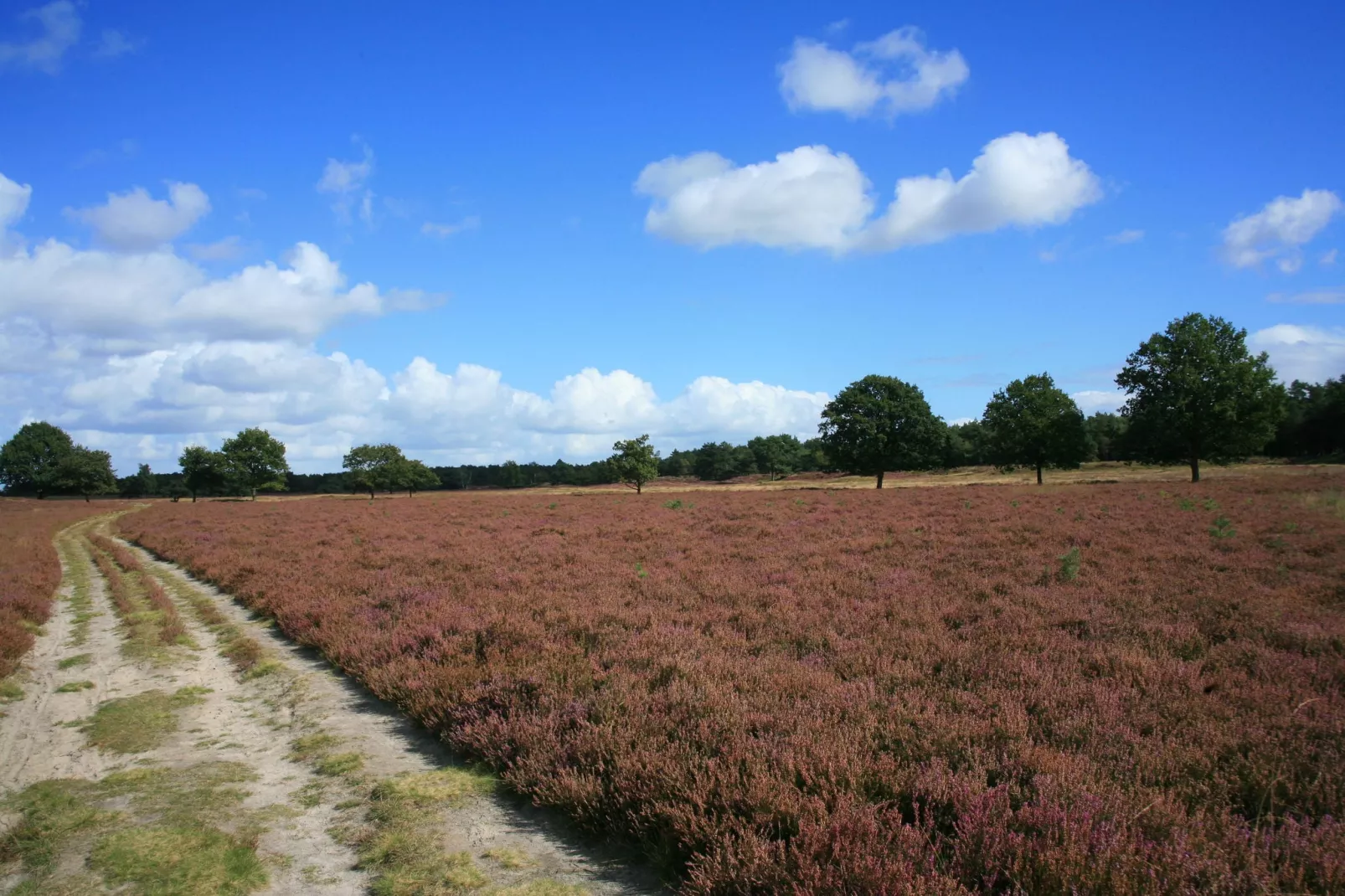 Landgoed Het Grote Zand 14-Gebieden zomer 5km