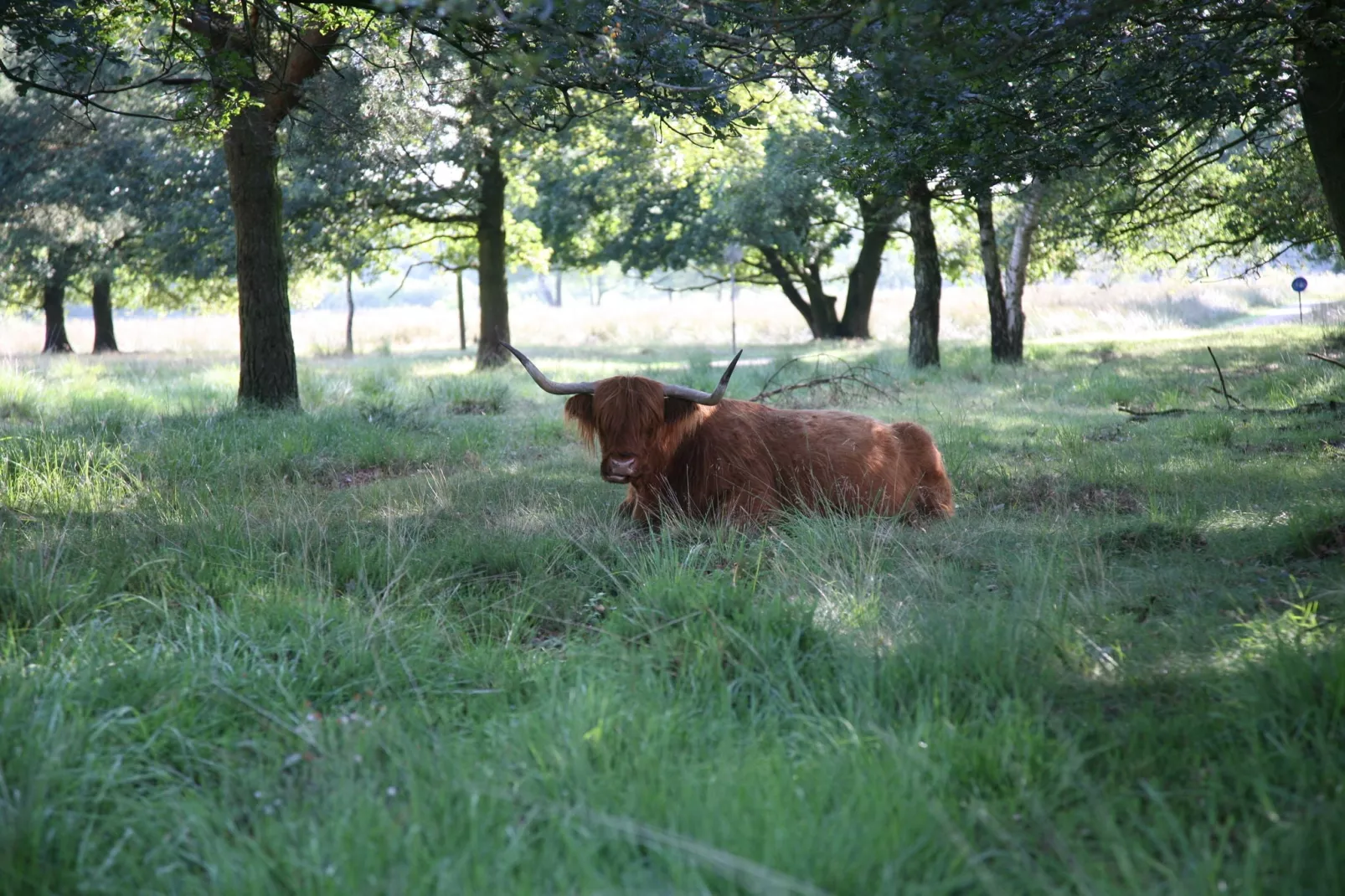 Landgoed Het Grote Zand 14-Gebieden zomer 20km