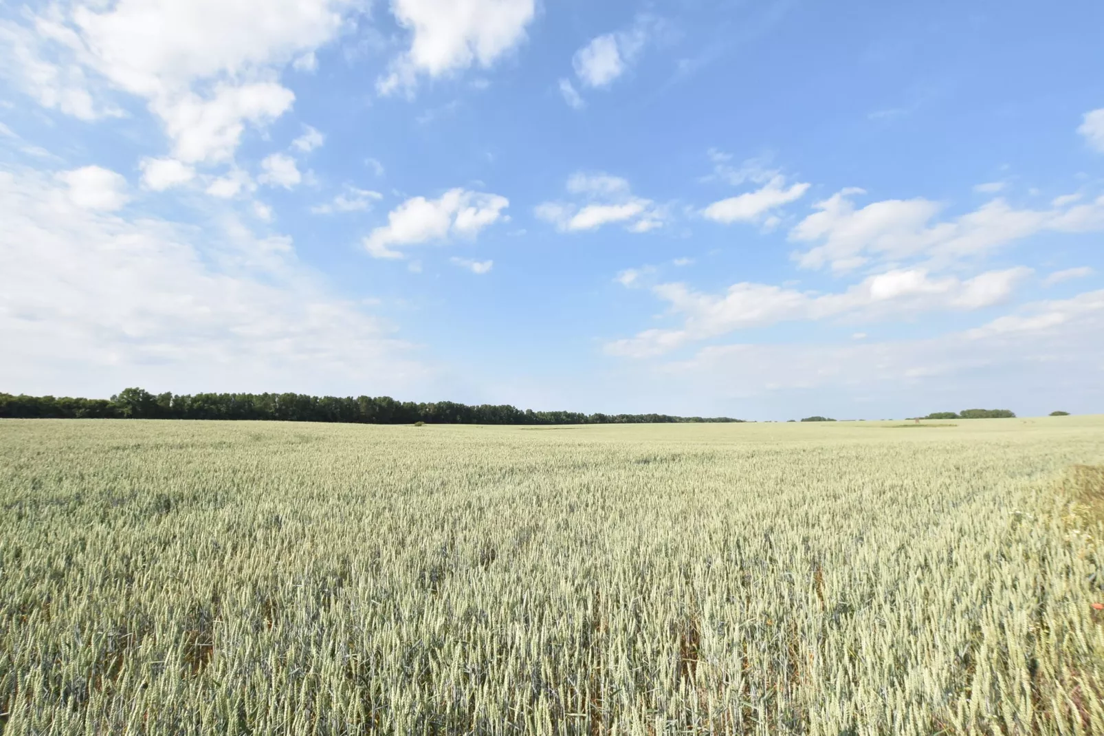 Landhausetage mit Garten-Gebieden zomer 5km